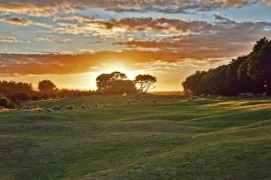 Waverley 1st Fairway